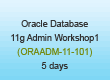 Oracle 11 Basic Administration Training